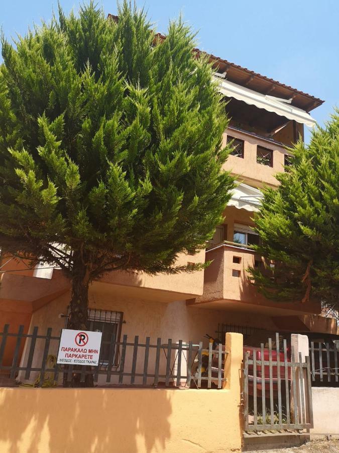 Greca Mare-Traditional Greek Boutique Apt. Psakoudia Exterior foto